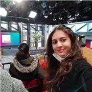 Professor francès ( niveau débutant )